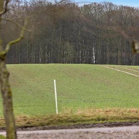 Hébergement de vacances Sb122-augustenborg-gronvej-3 Asserballeskov